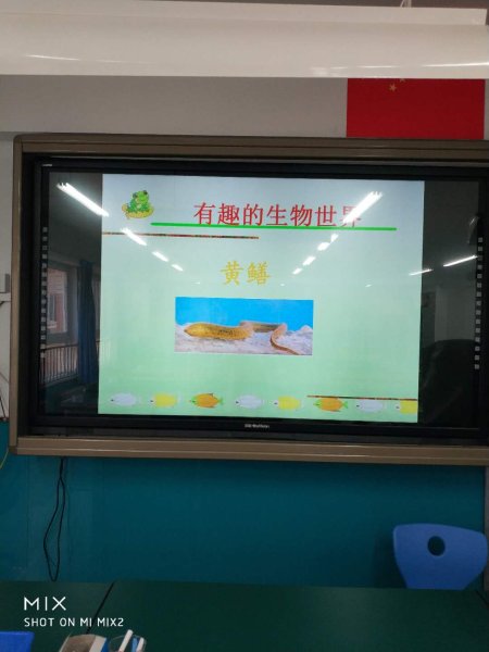 微信图片_20180531170801